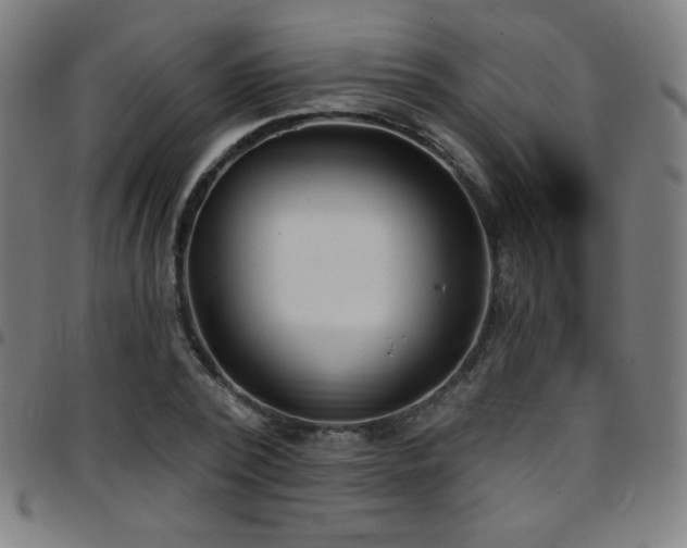 X0000097790784200803071411