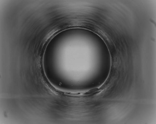 X0000097790786200803071411