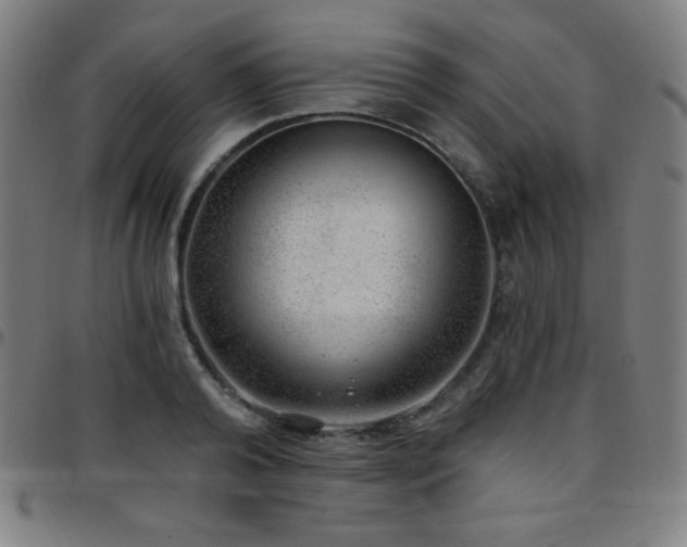 X0000097790792200803071411