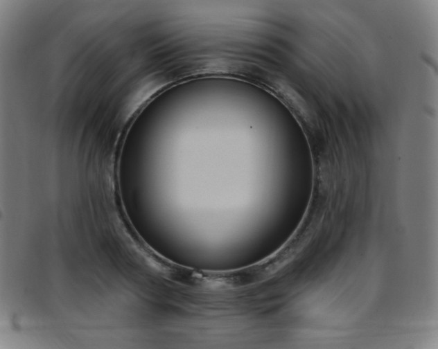 X0000097790794200803071411