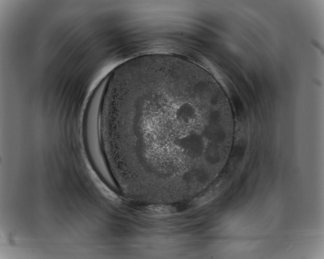 X0000097790795200803071411