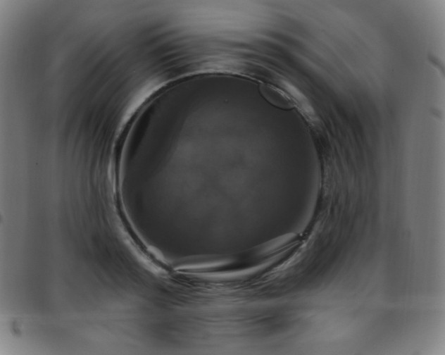 X0000097790796200803071411