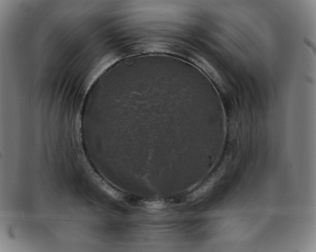 X0000097790798200803071411