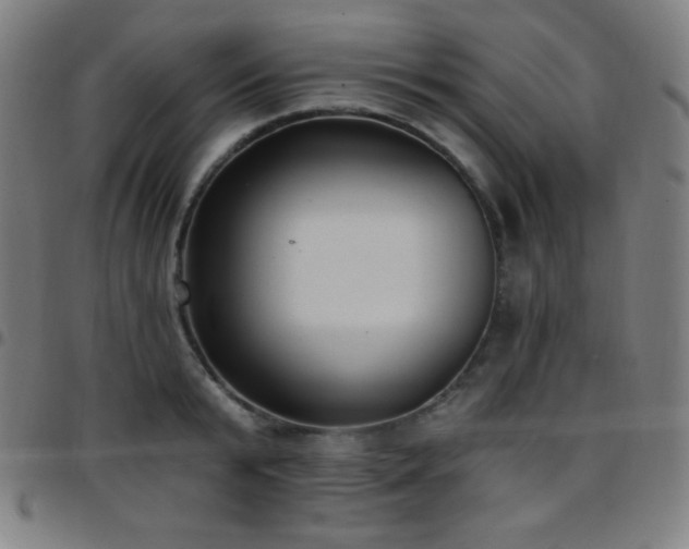 X0000097790799200803071411