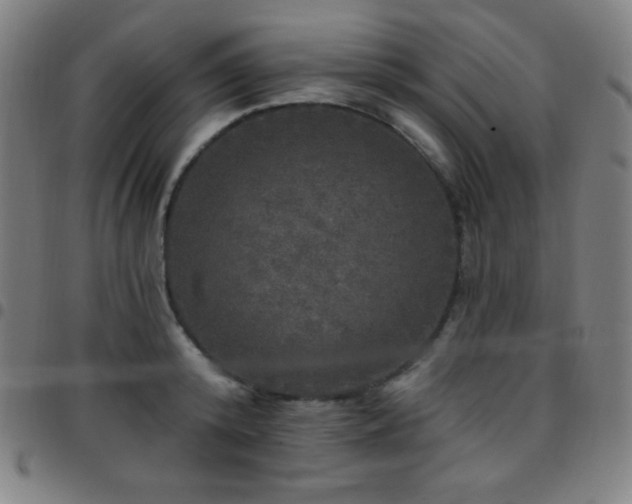 X0000097790800200803071411
