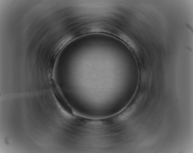 X0000097790801200803071411