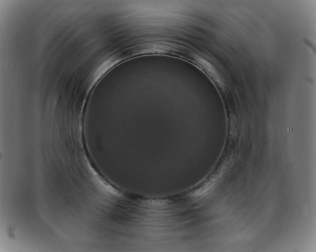 X0000097790802200803071411