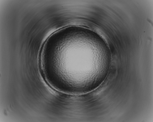X0000097790803200803071411