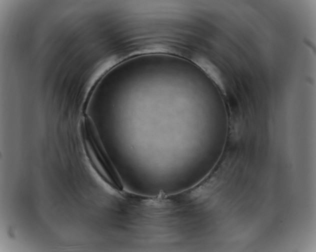 X0000097790805200803071411