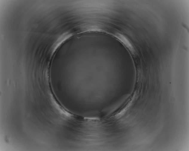 X0000097790806200803071411