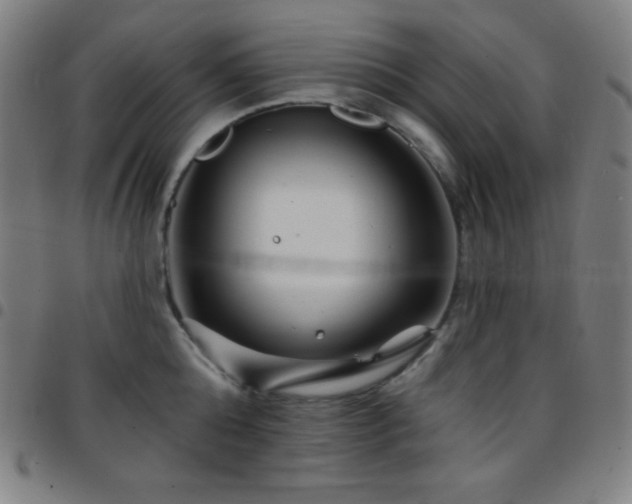 X0000097790808200803071411