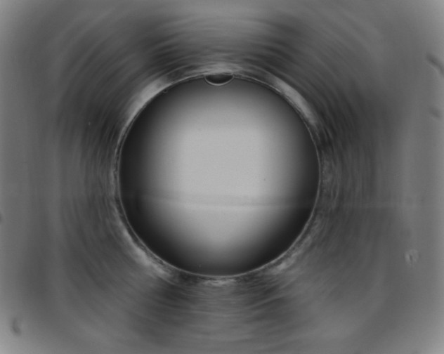 X0000097790810200803071411