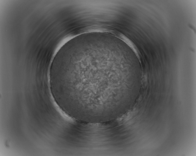 X0000097790811200803071411