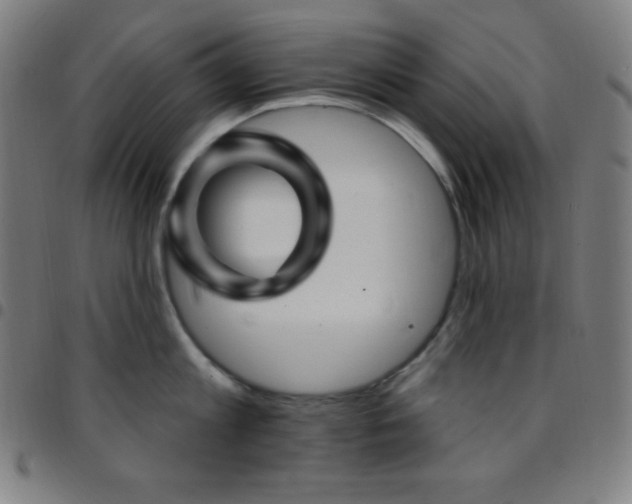 X0000097790813200803071411