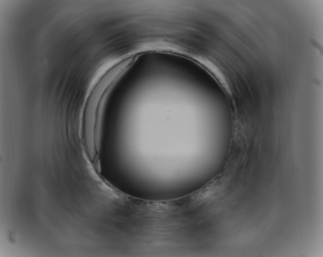 X0000097790815200803071411