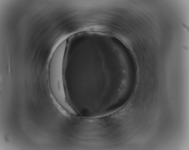 X0000097790816200803071411