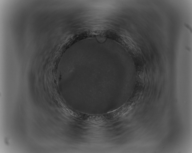 X0000097790817200803071410