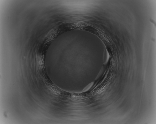 X0000097790818200803071410