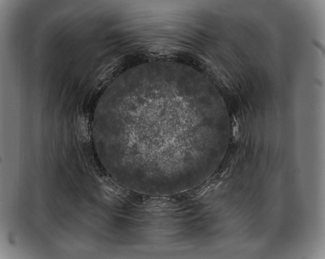 X0000097790819200803071410