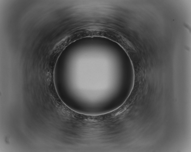 X0000097790821200803071410