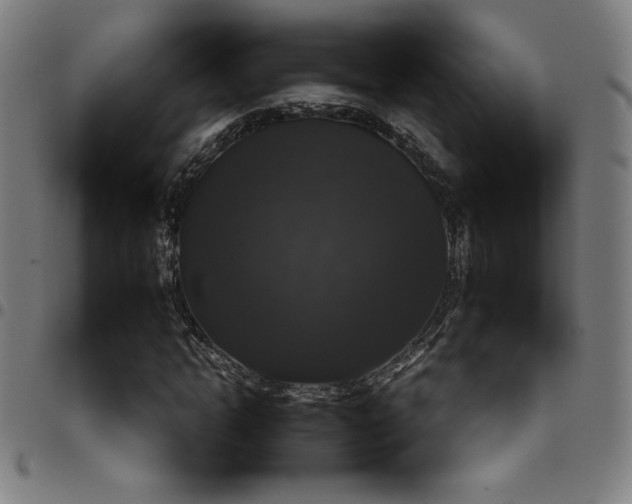 X0000097790822200803071410