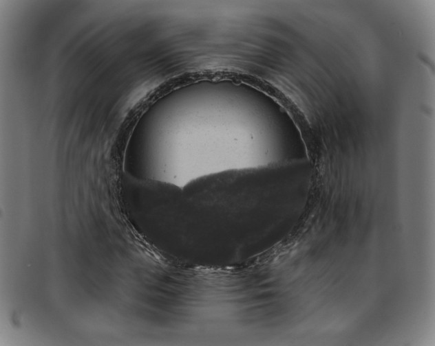 X0000097790823200803071410