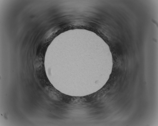 X0000097790824200803071410