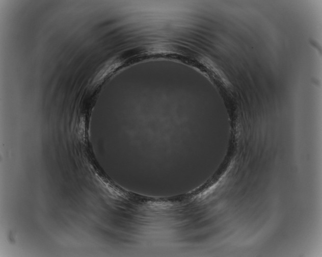 X0000097790825200803071410