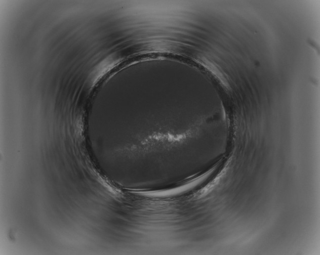 X0000097790826200803071410