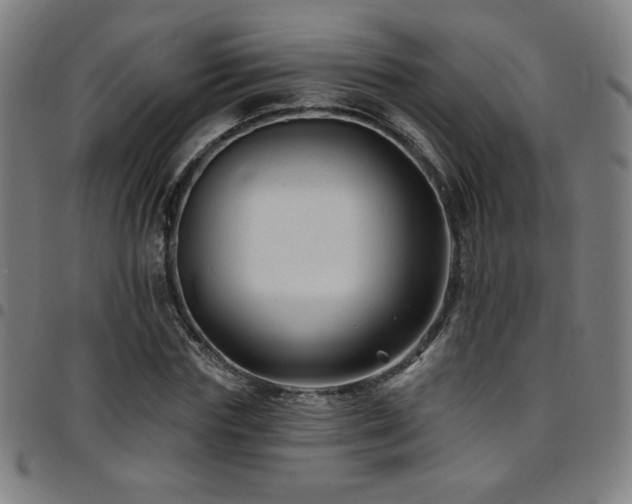 X0000097790827200803071410