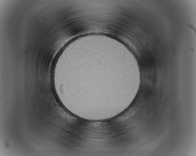 X0000097790828200803071410