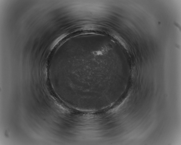 X0000097790829200803071410