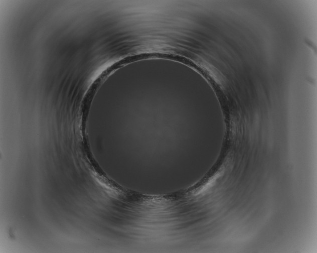 X0000097790830200803071410