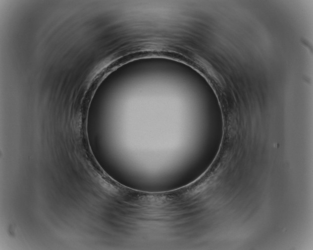 X0000097790831200803071410