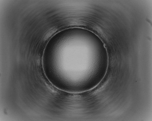 X0000097790833200803071410