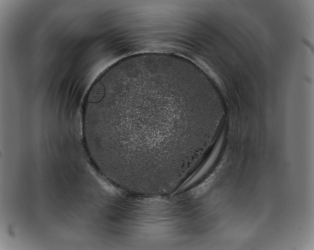 X0000097790838200803071410