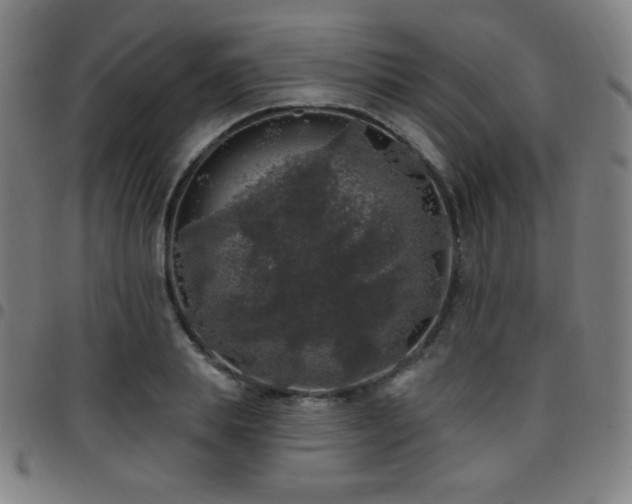 X0000097790839200803071410
