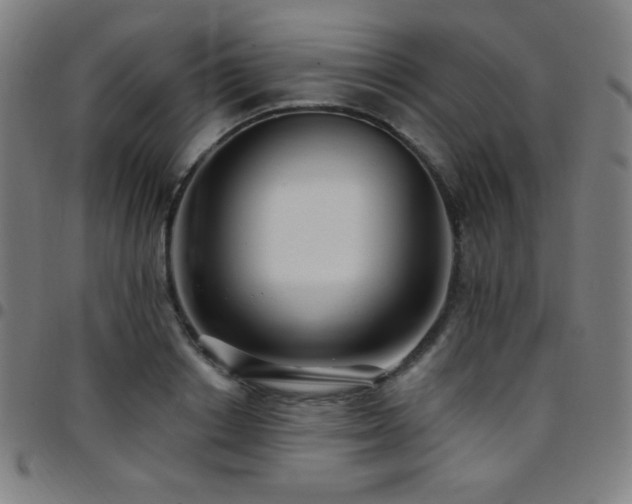 X0000097790842200803071410