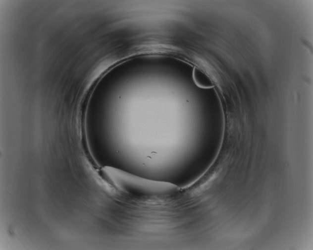 X0000097790843200803071410