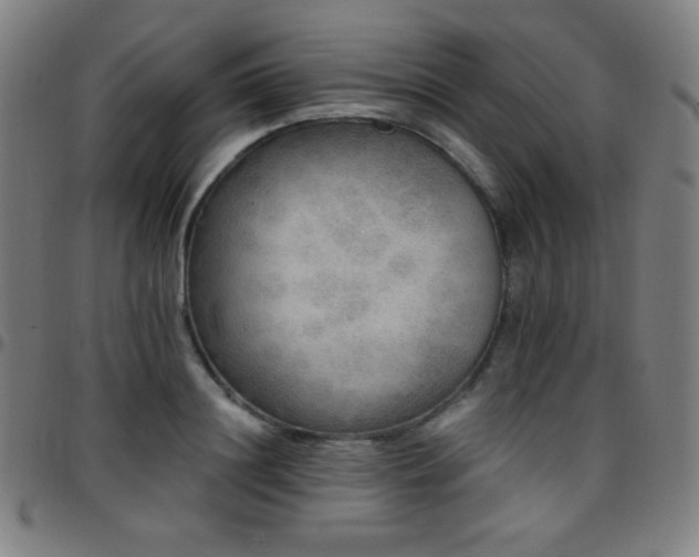 X0000097790844200803071410