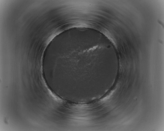 X0000097790845200803071410