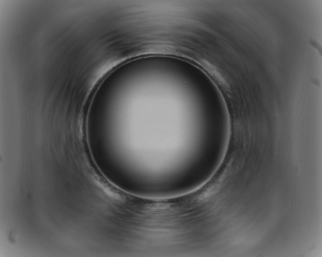 X0000097790846200803071410