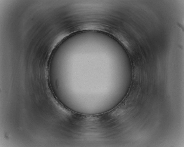 X0000097790848200803071410
