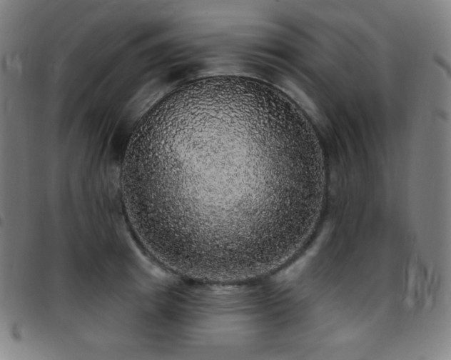 X0000097790849200803071410