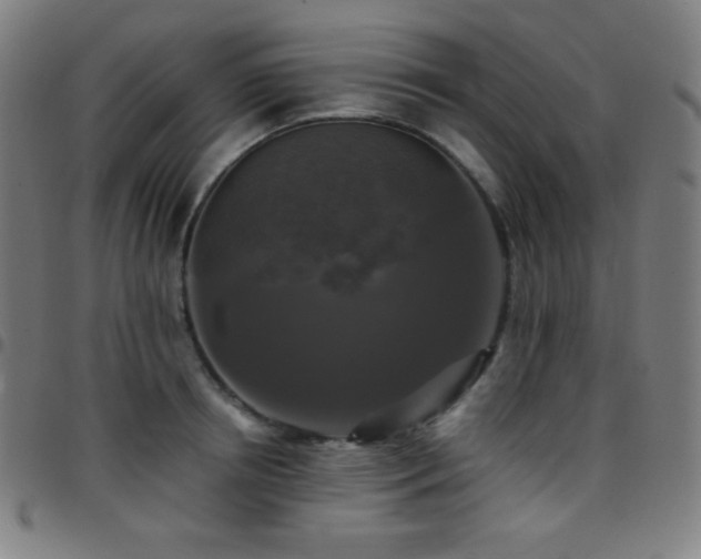 X0000097790850200803071410