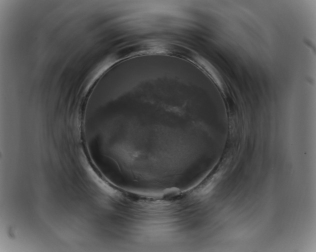 X0000097790851200803071410