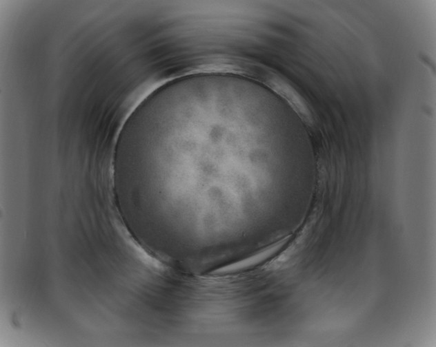 X0000097790852200803071410