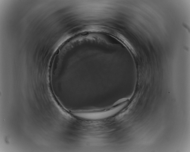 X0000097790853200803071410