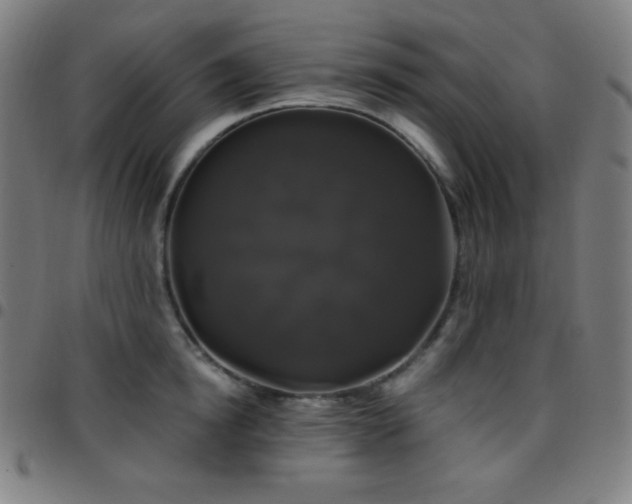 X0000097790854200803071410