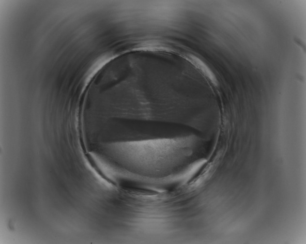 X0000097790855200803071411